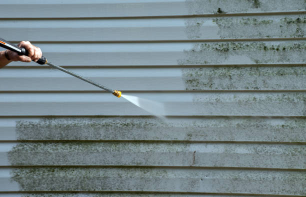 Professional Mold Removal in Fulton, NY