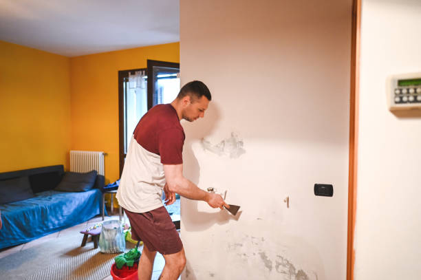 Best Mold Removal Company Near Me  in Fulton, NY